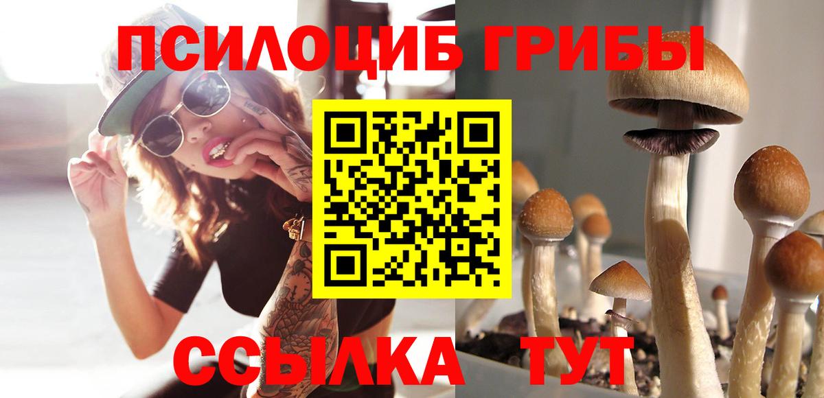 Курчалой  Галлюциногенные грибы ЛСД  Вход с VPN 